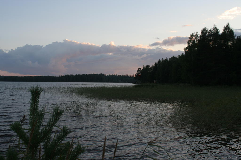 Huoneistohotelli Teekki Muuruvesi Exterior foto
